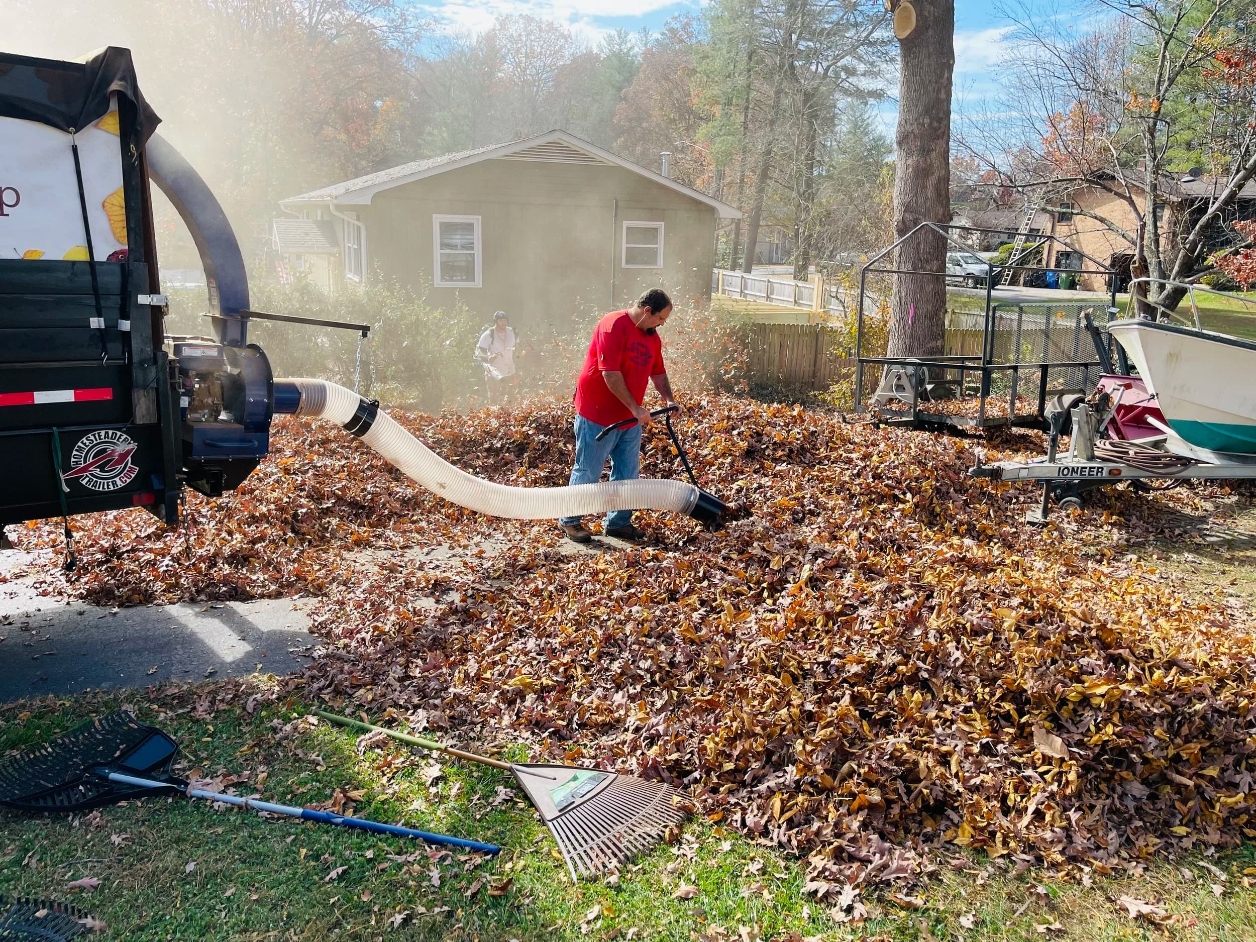 Leaf Removal in Seaford