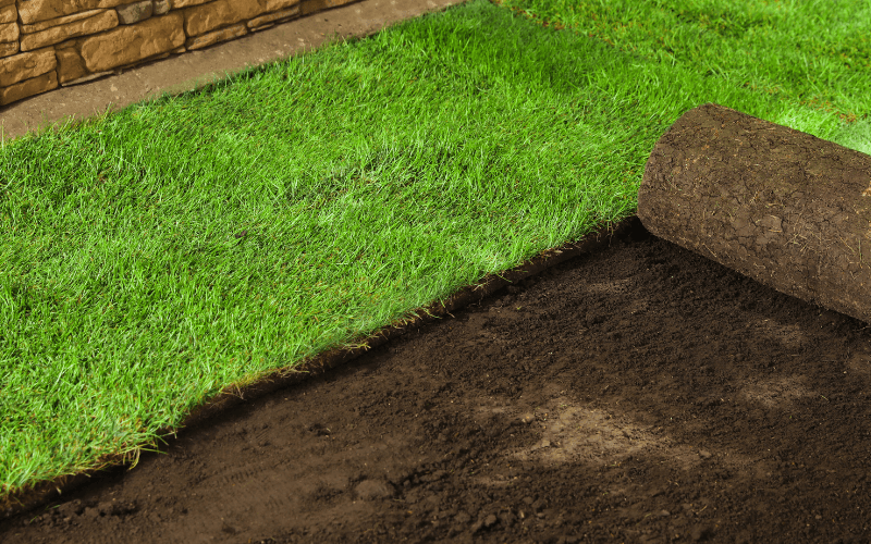 Sod Installation Services in Seaford, Virginia