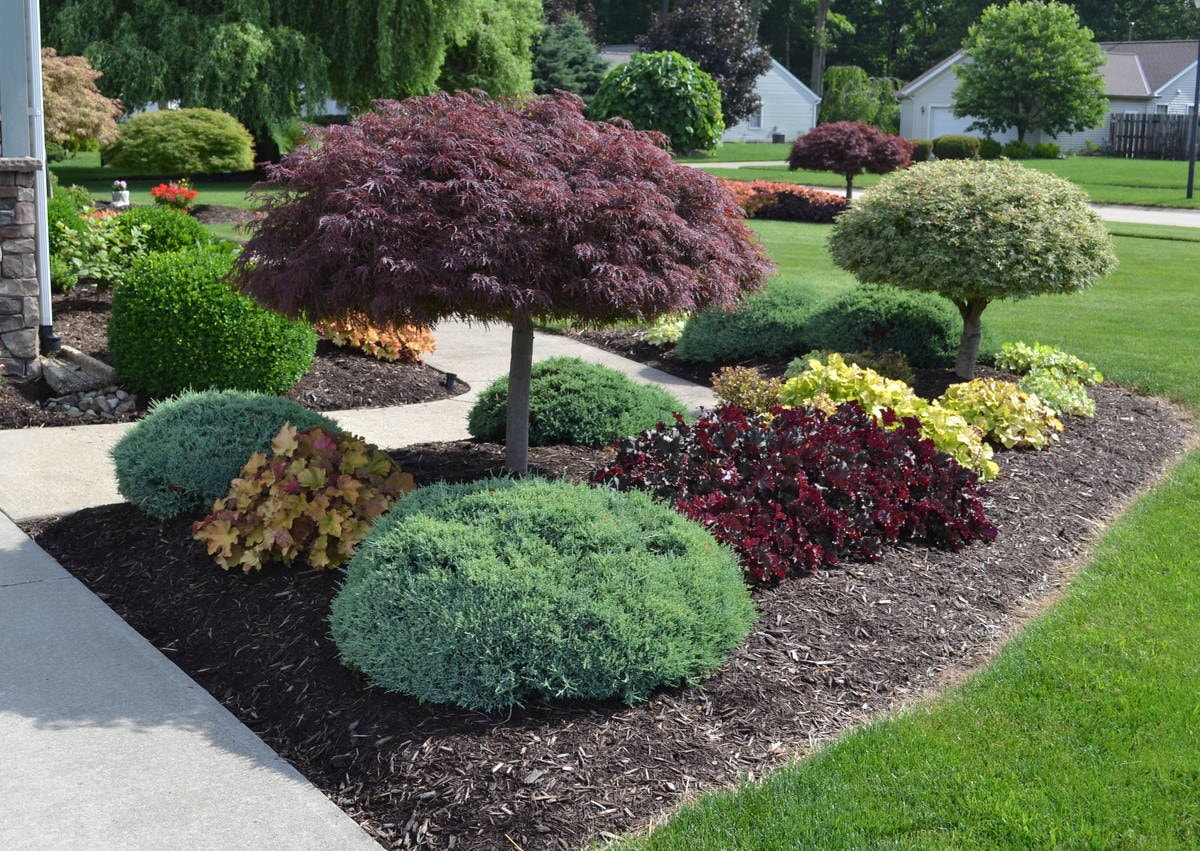 Landscape Design project 7