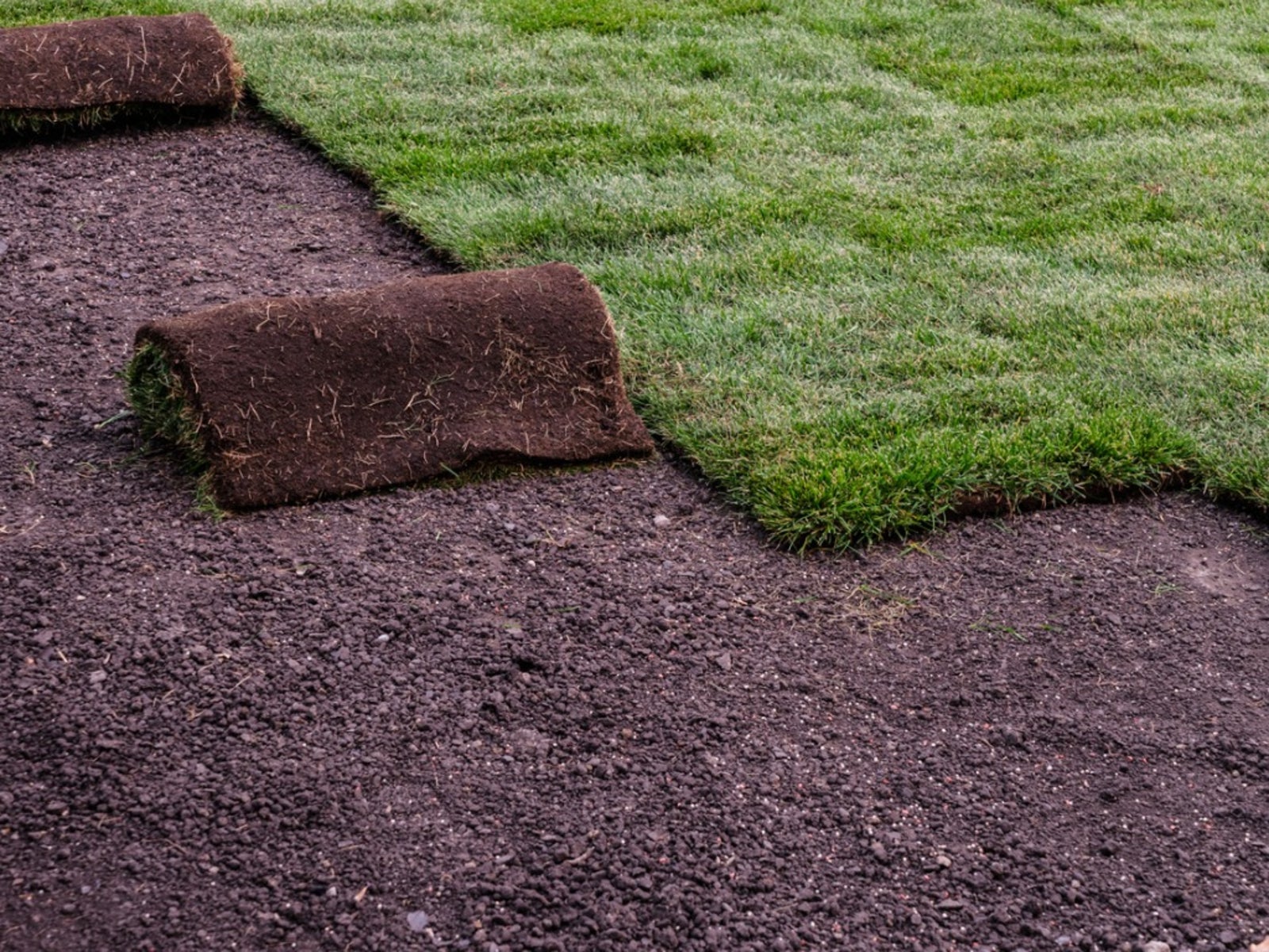Sod Installation example 6
